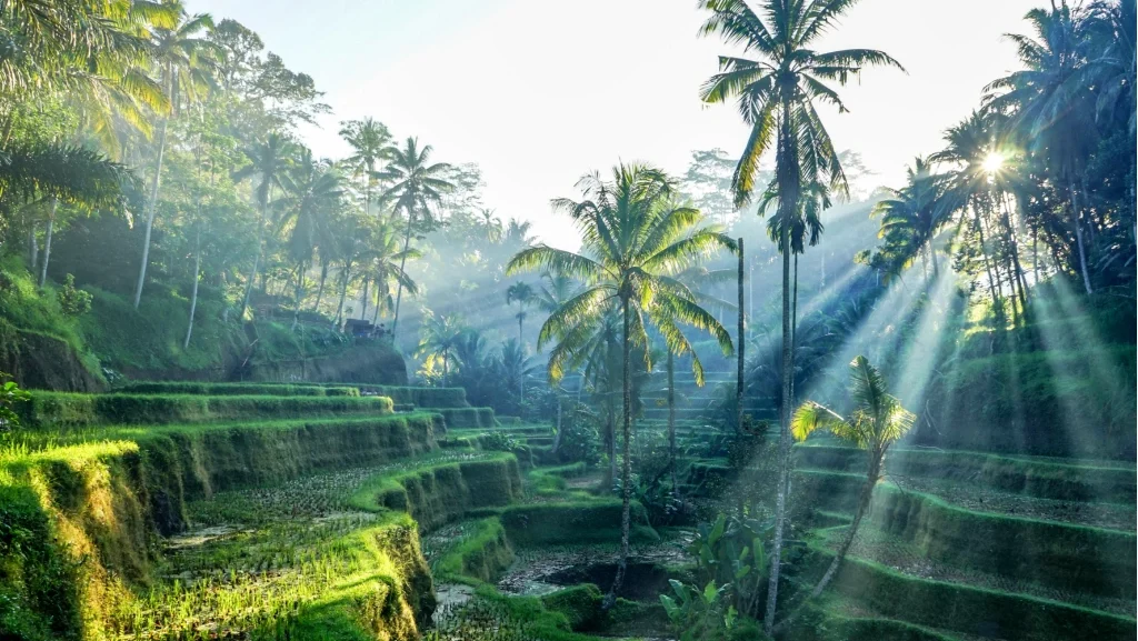 Ubud