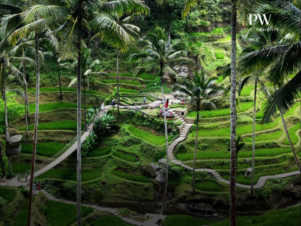 A Foreign Investor's Guide to Bali's Property Zones